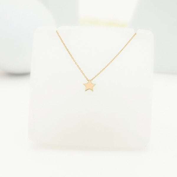 14 Ayar Altın Minik Yıldız Kolye