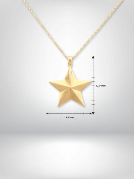 14 Ayar Altın Yıldız Kolye