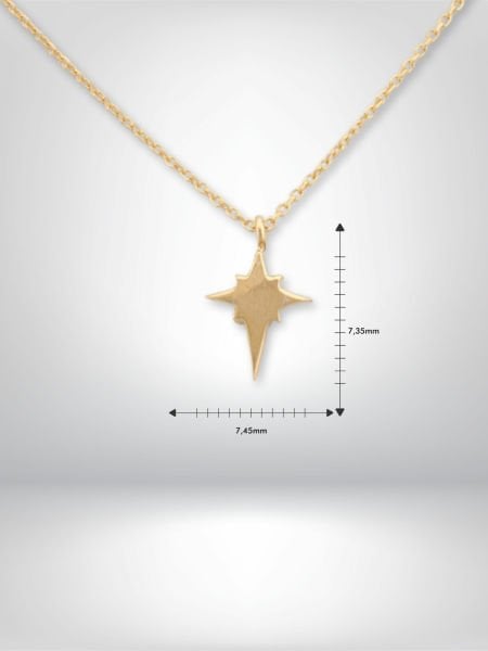 14 Ayar Altın Kuzey Yıldızı Figürlü Kolye