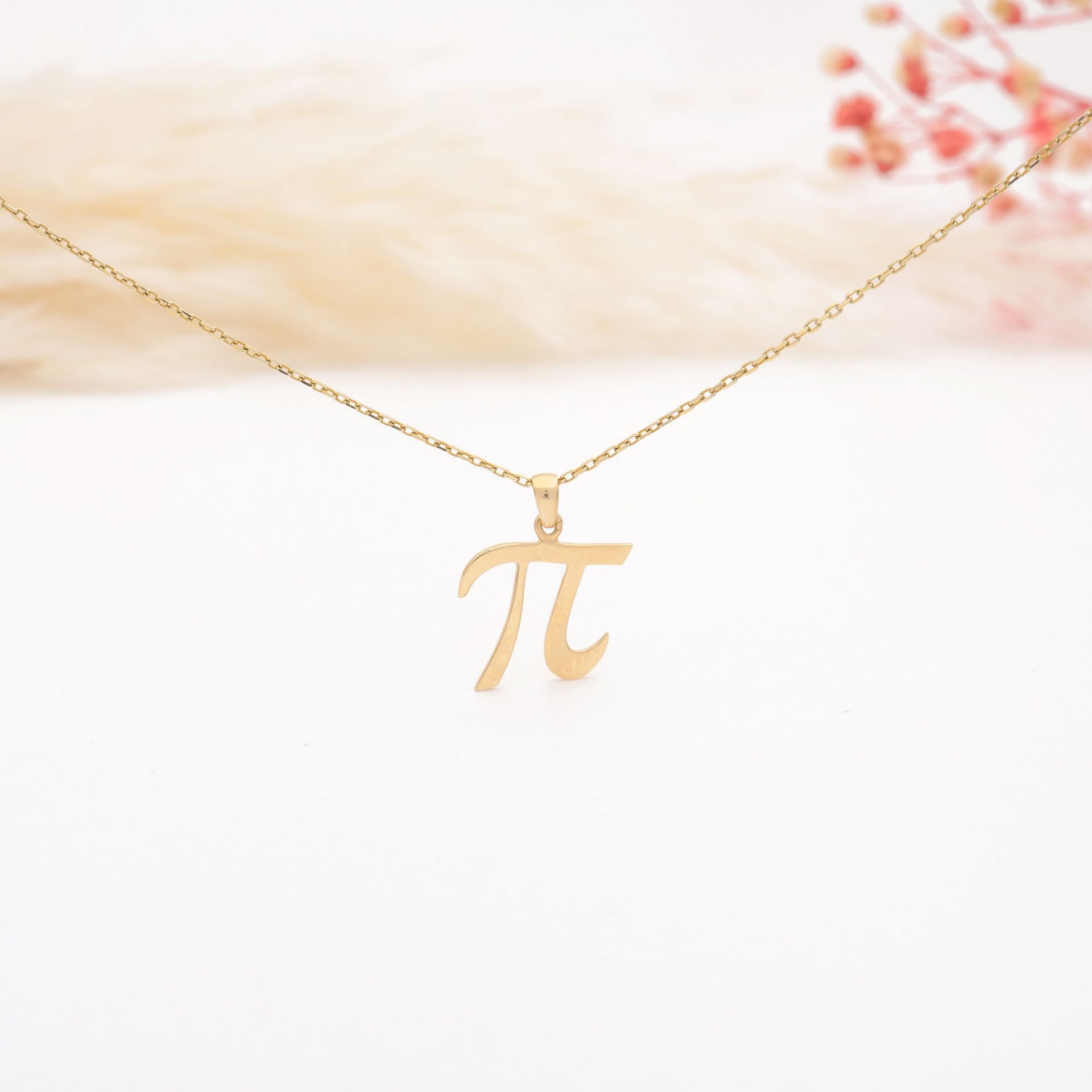 14 Ayar Altın Pi Sayısı Kolye